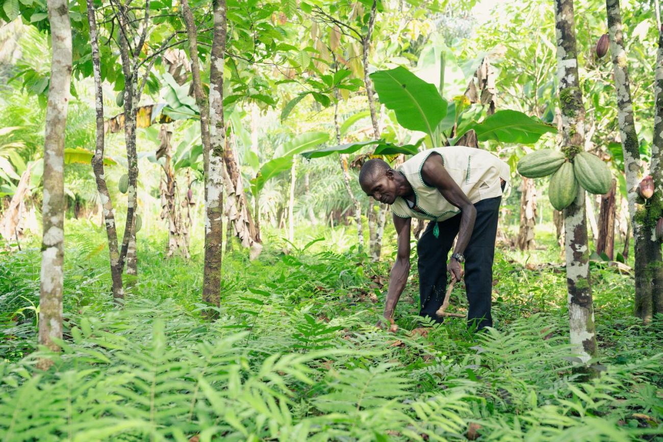 A man in a white shirt crouches in a green forest