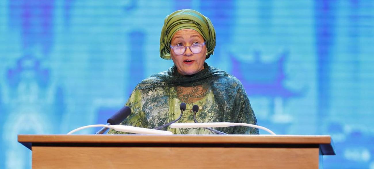 联合国副秘书长在演讲台发言