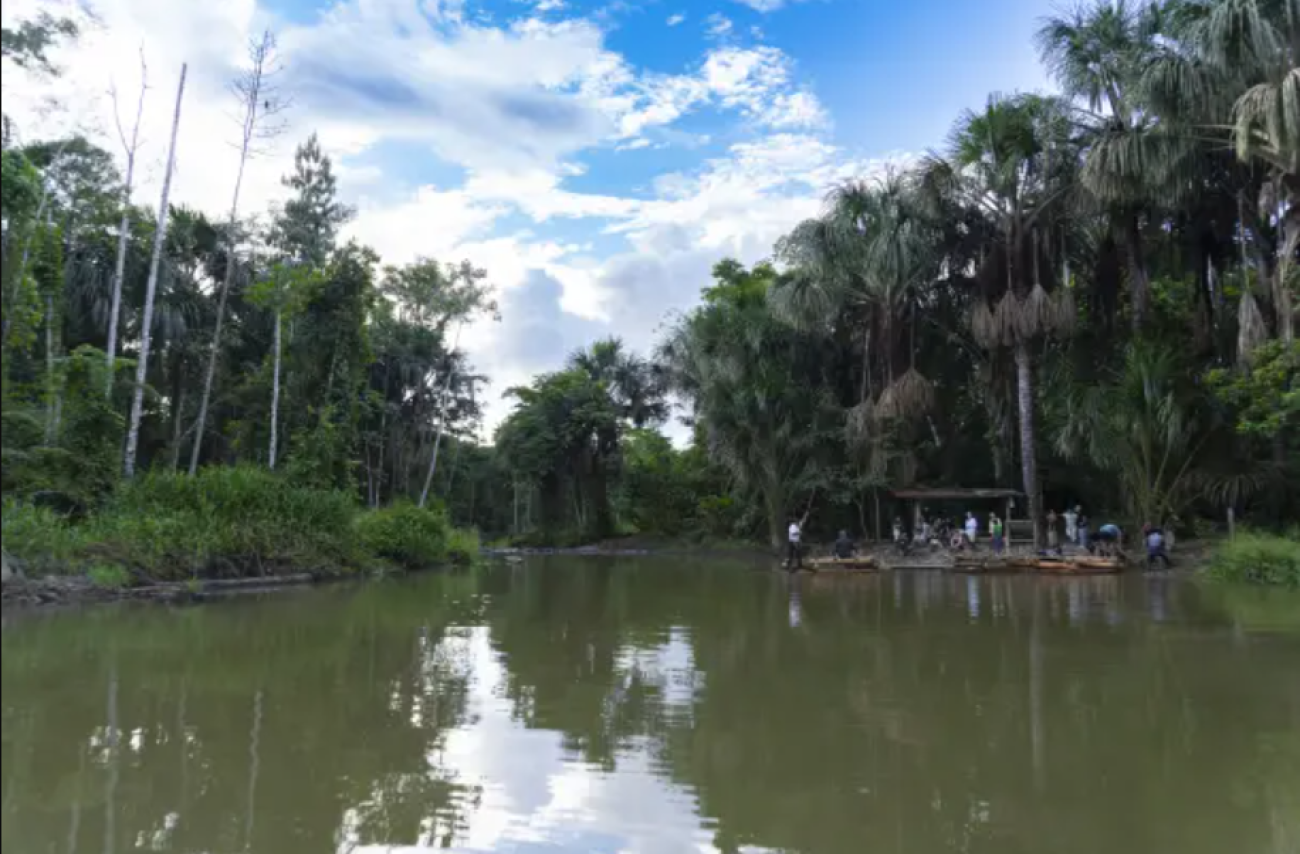 Reserva del Manu, Peru