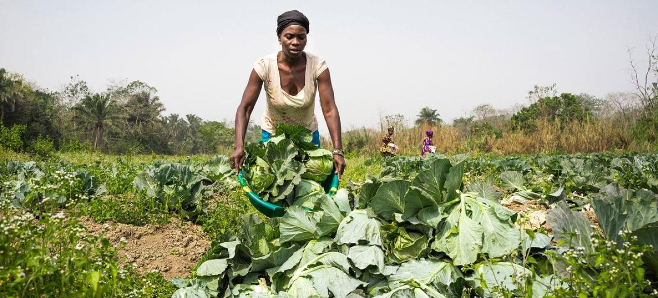 Mujer haciendo agricultura