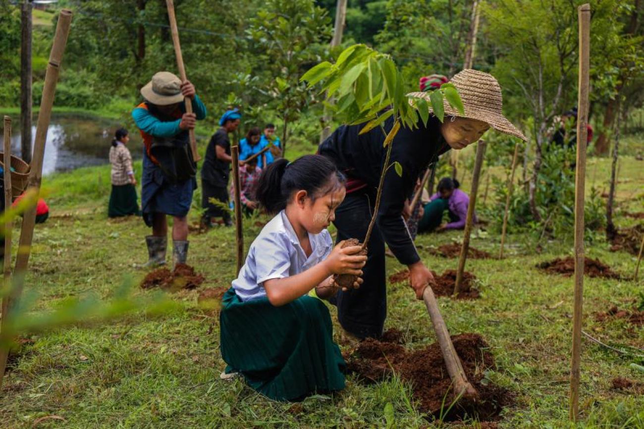 An older woman helps a young child plant a sapling in a lush green mountainous region.