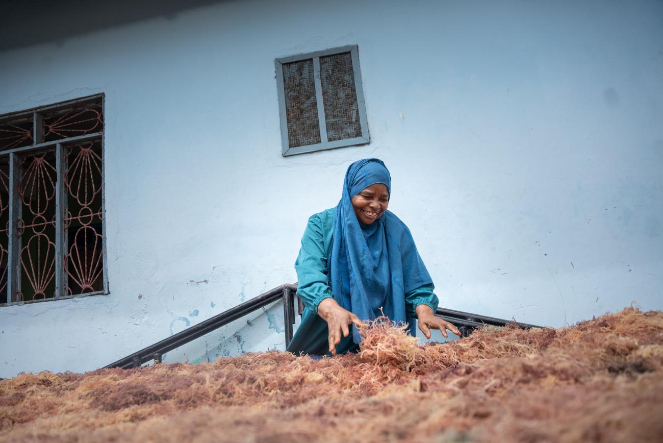 A woman in a blue dress and headscarf sits through piles of brown dried up seaweed.