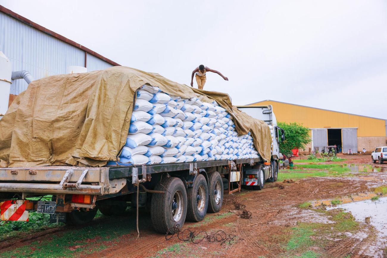La faim catastrophique (IPC/CH Phase 5) atteint un niveau record depuis le début du suivi par le GRFC en 2016.