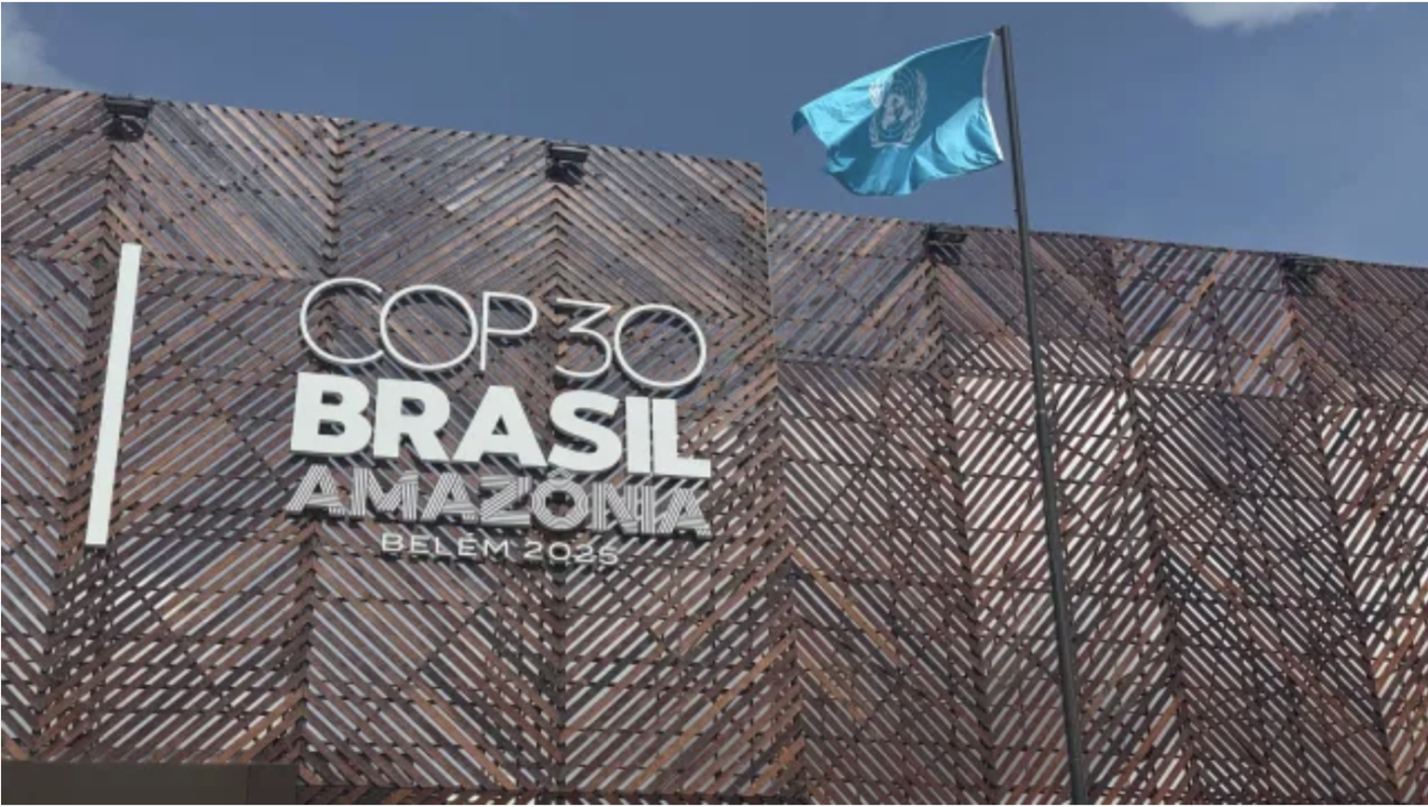 COP30在巴西召开的标识