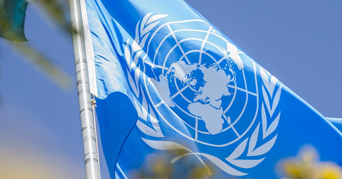 The UN flag on a pole.