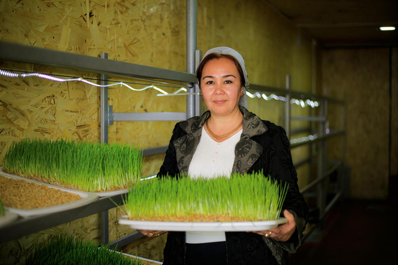 A woman in Kyrgyzstan holds a hydroponics tray.