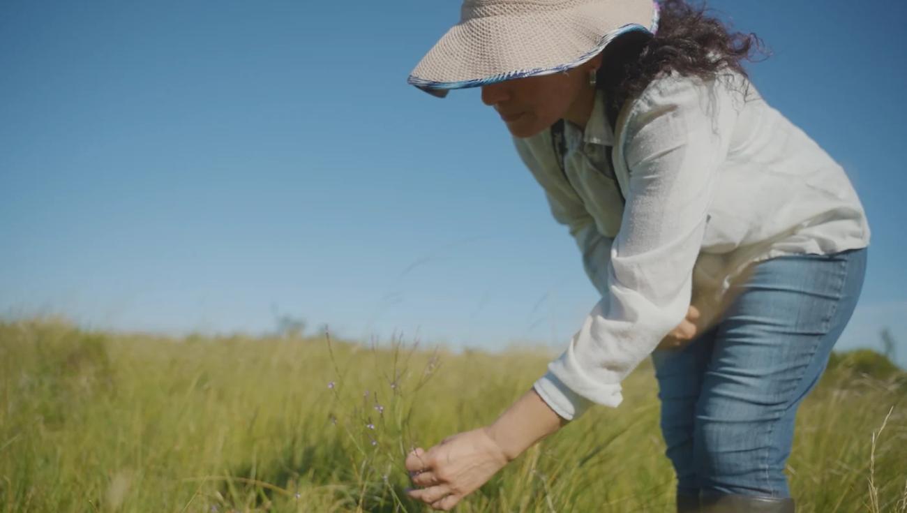 A woman in Uruguay in a field.
