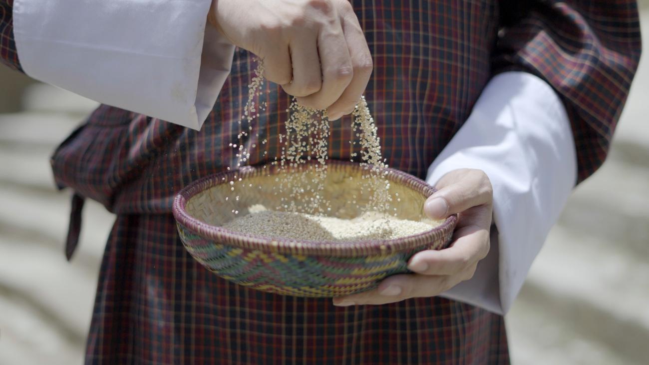 Женщина держит миску с квиноа.