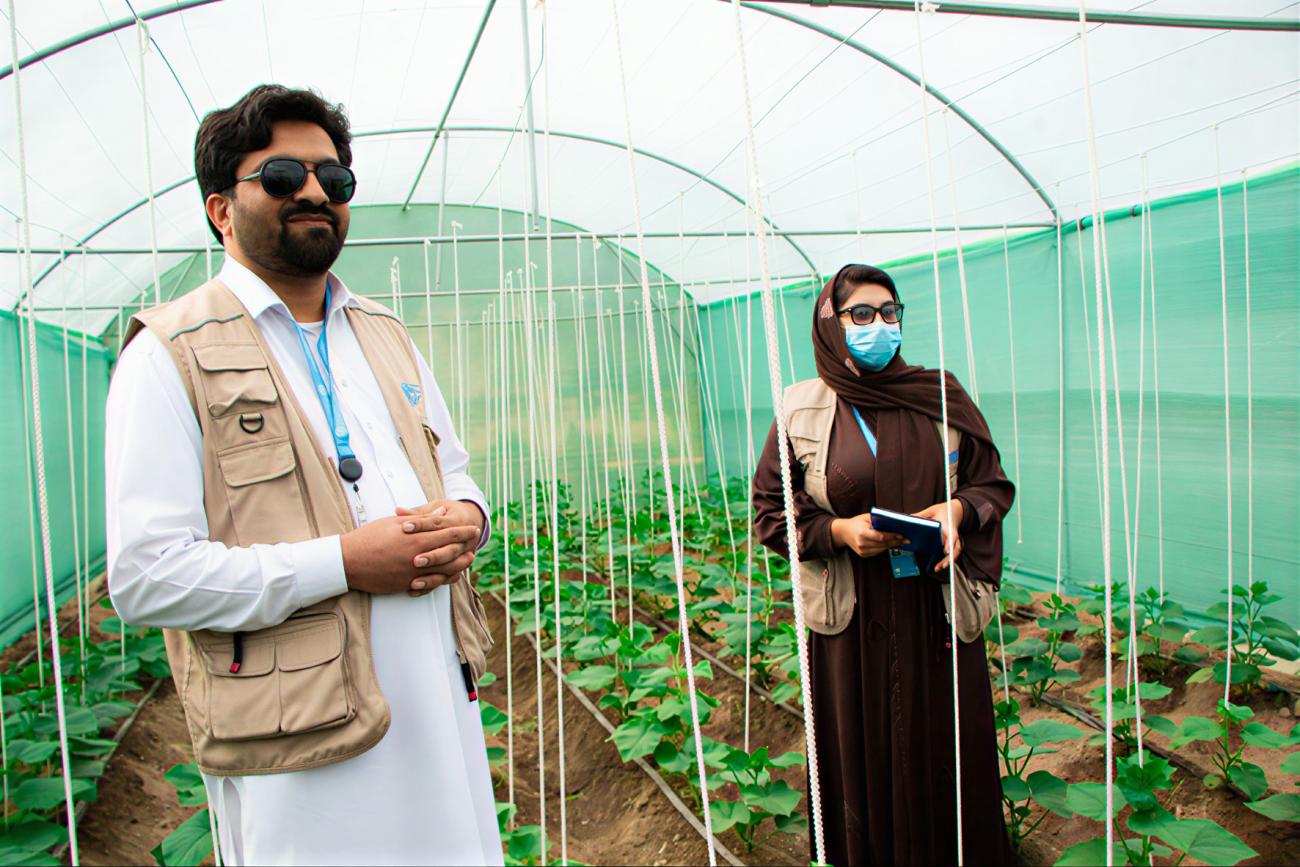 An Afghani man and woman stand in a micro greenhouse.