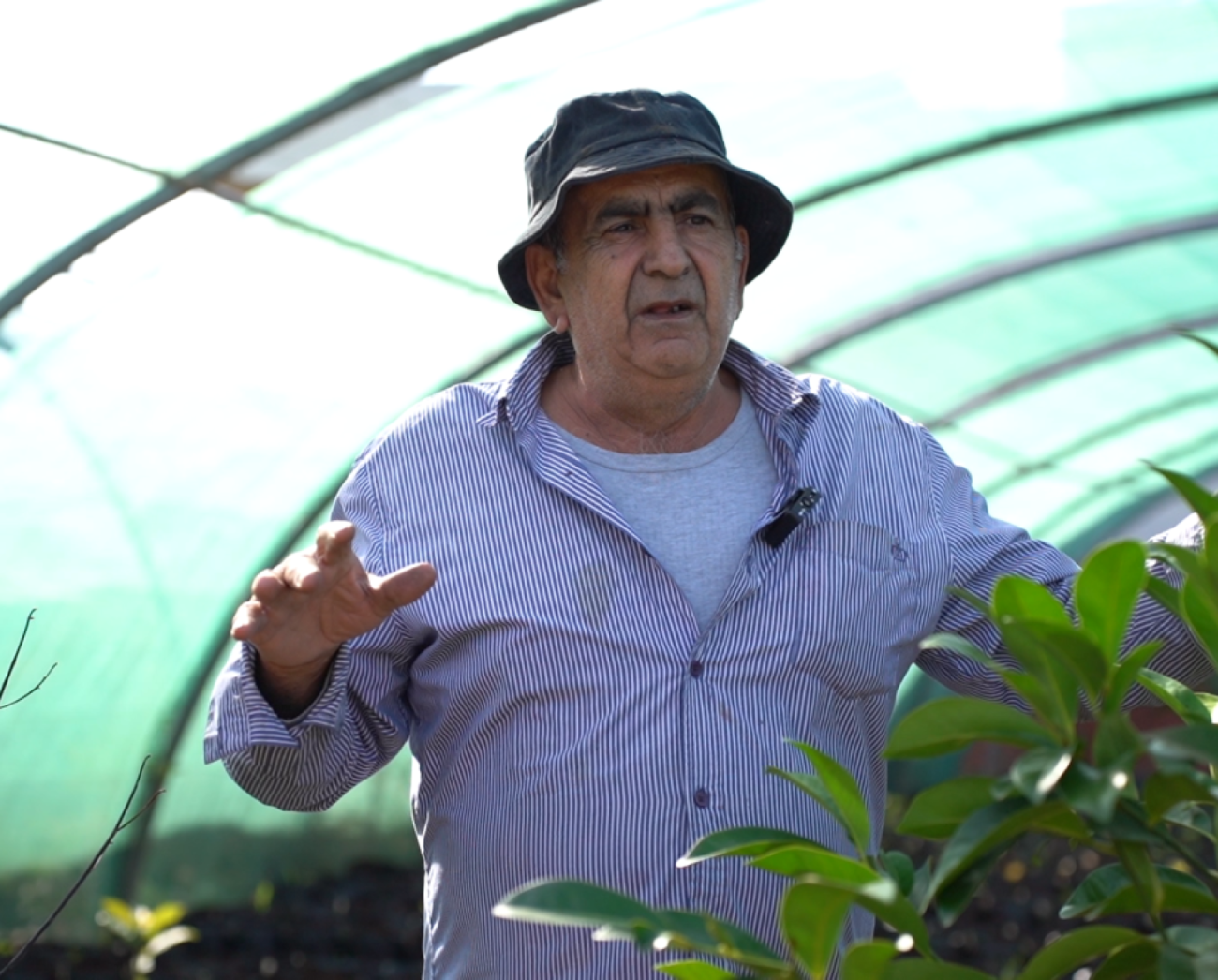 التسمية التوضيحية: التعليق: يصف عبد الله حداد، وهو مزارع لبناني من جنوب لبنان، كيف ساعده سجل المزارعين المدعوم من الأمم المتحدة والمساعدات النقدية في الحفاظ على سبل عيشه خلال حرب لبنان عام 2024