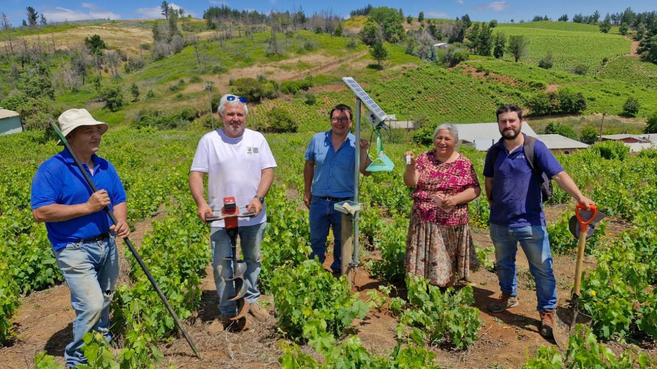 Instalación de sensores de humedad de suelo y trampas digitales para el monitoreo de plagas 