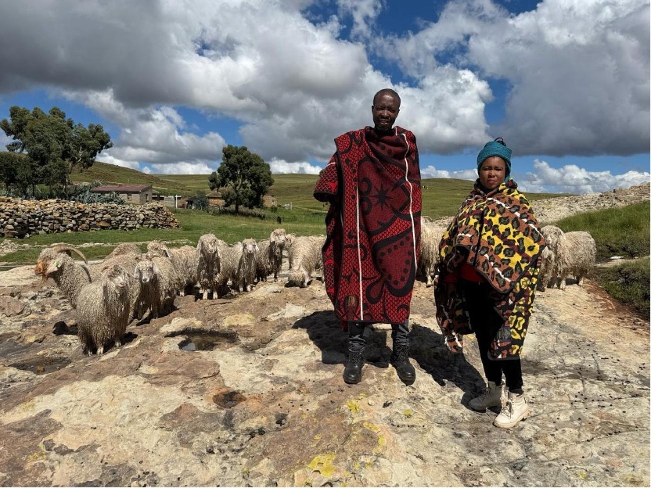 Male and female wool grazers in Lesotho in front of their goats. 