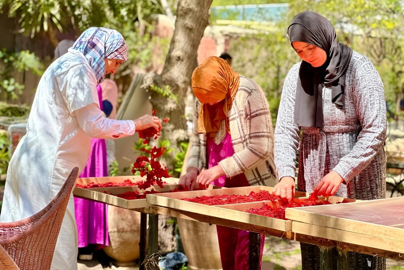 Des membres d'une coopérative au Maroc.