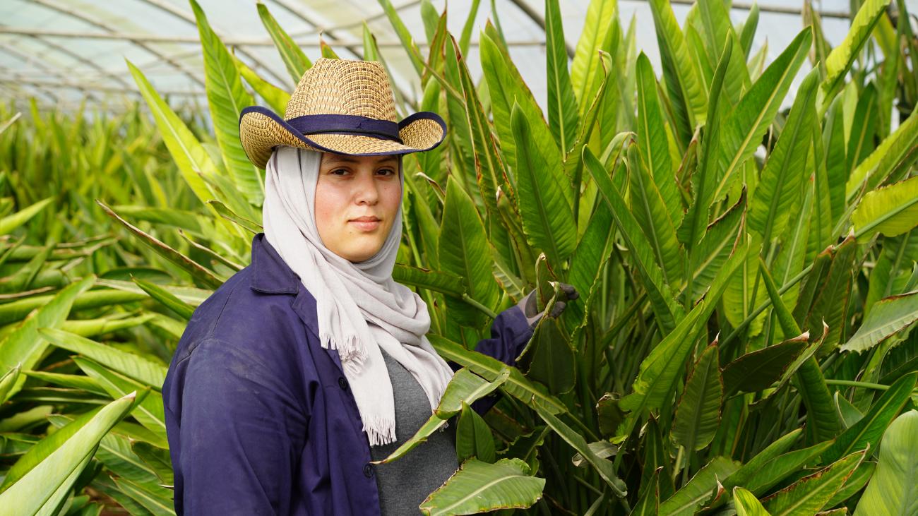 A woman floriculturist in Jordan.