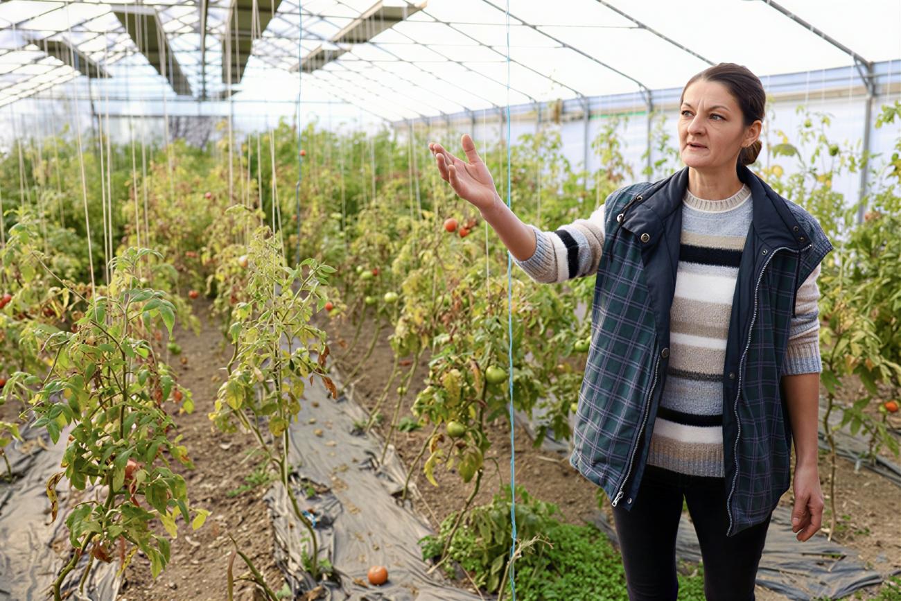 A Bosnian woman farmer in her field.