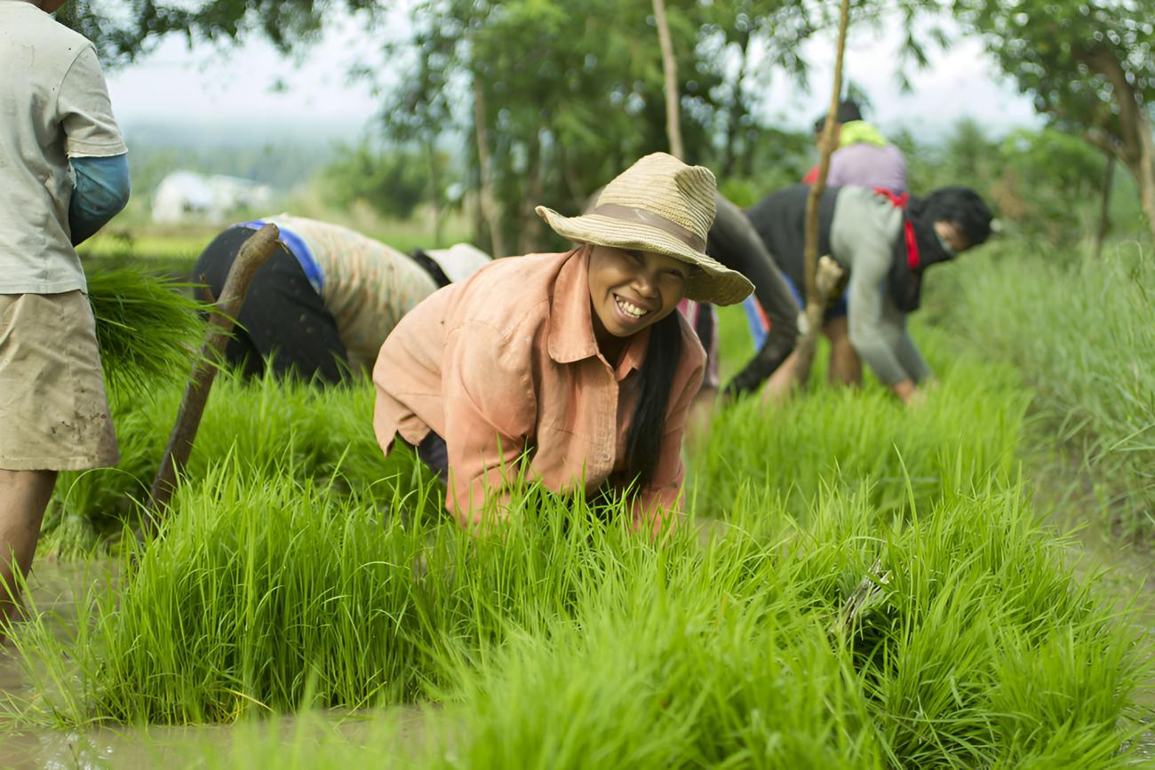 A woman in a field in the Philippines.