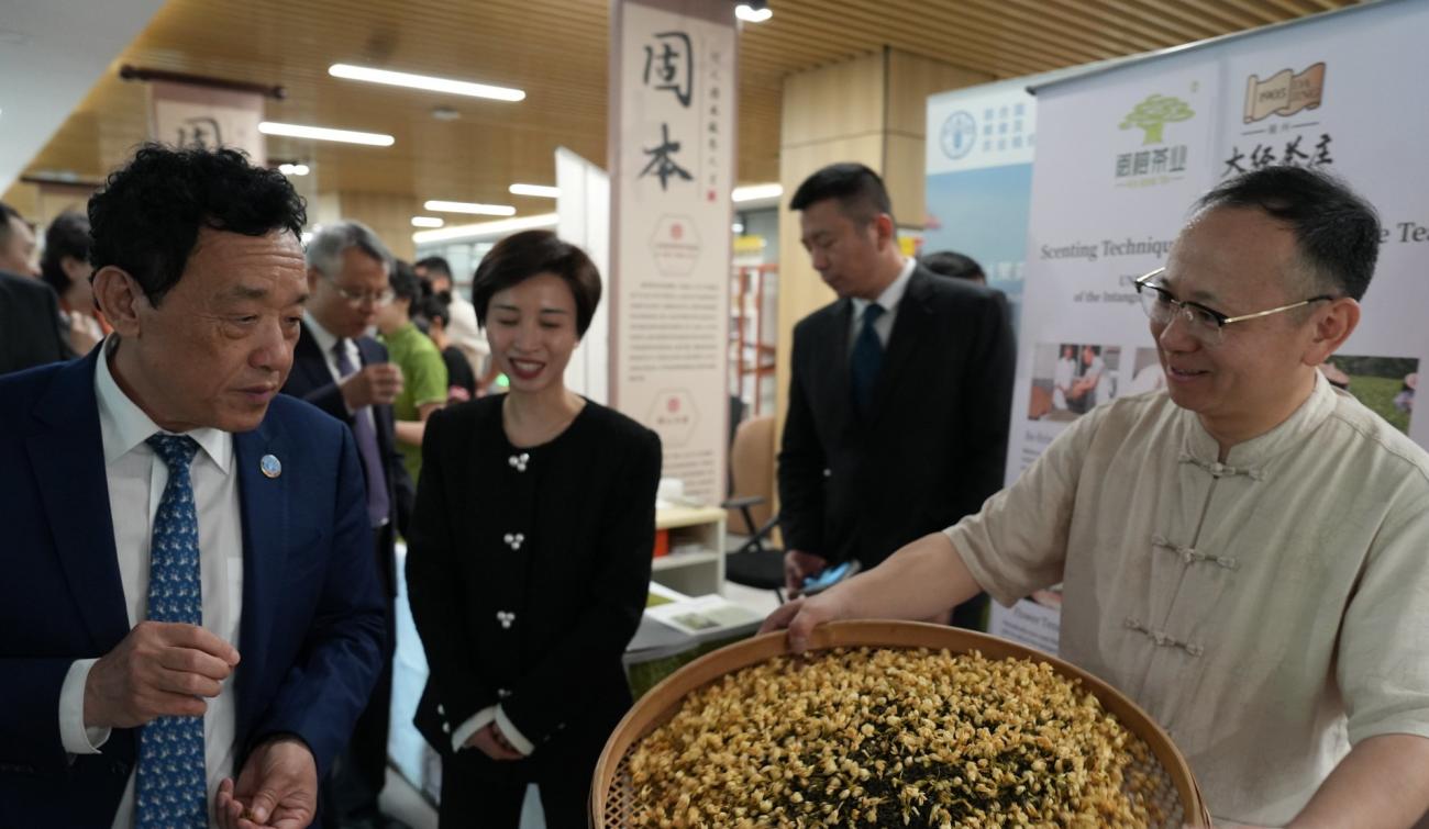 联合国粮食及农业组织总干事在中国出席会议。