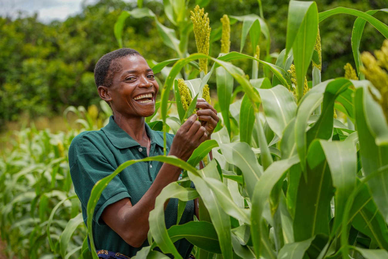 Un agricultor en Zambia.