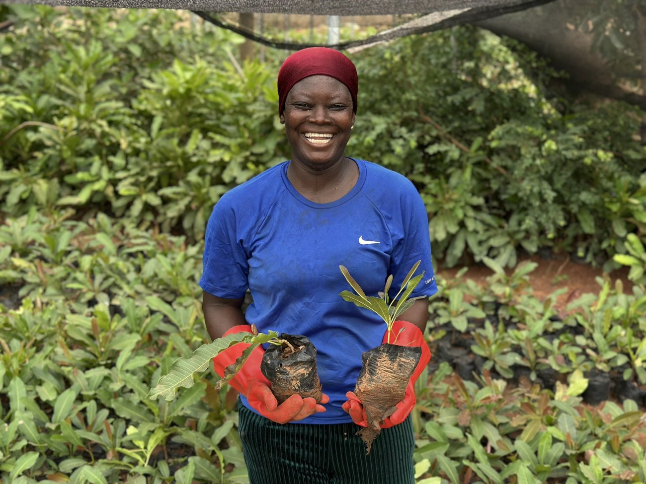 A woman farmer in Ghana.