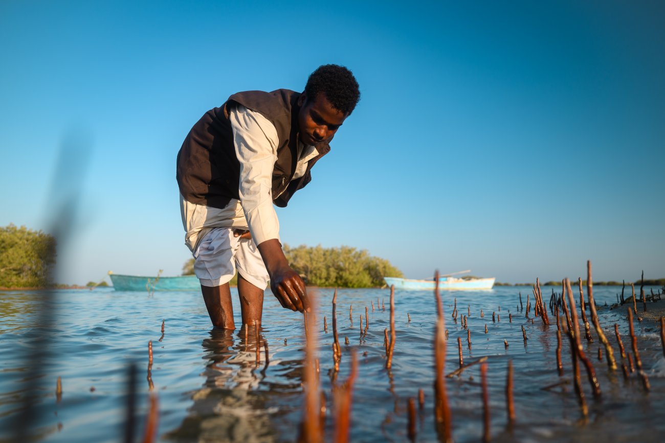 A farmer in Egypt.