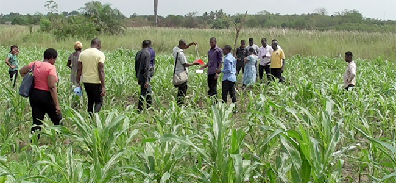 مجموعة من الأشخاص في حقل.