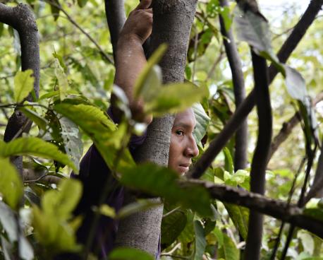 امرأة من المجتمعات الأصلية وسط الأشجار في البرازيل.