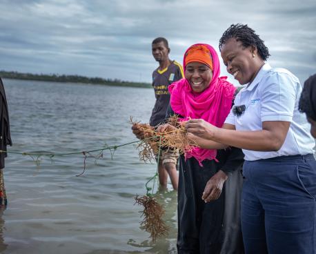 UN Resident Coordinator in Tanzania, Susan Ngongi Namondo, joins seaweed farmers in Zanzibar, highlighting how the UN in Tanzania is building on existing support across the seaweed value chain — from production and processing to markets — while introducing a new Joint SDG Fund-supported initiative to expand access to finance and help scale the sector. 