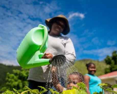 A woman in Jamaica waters her garden.