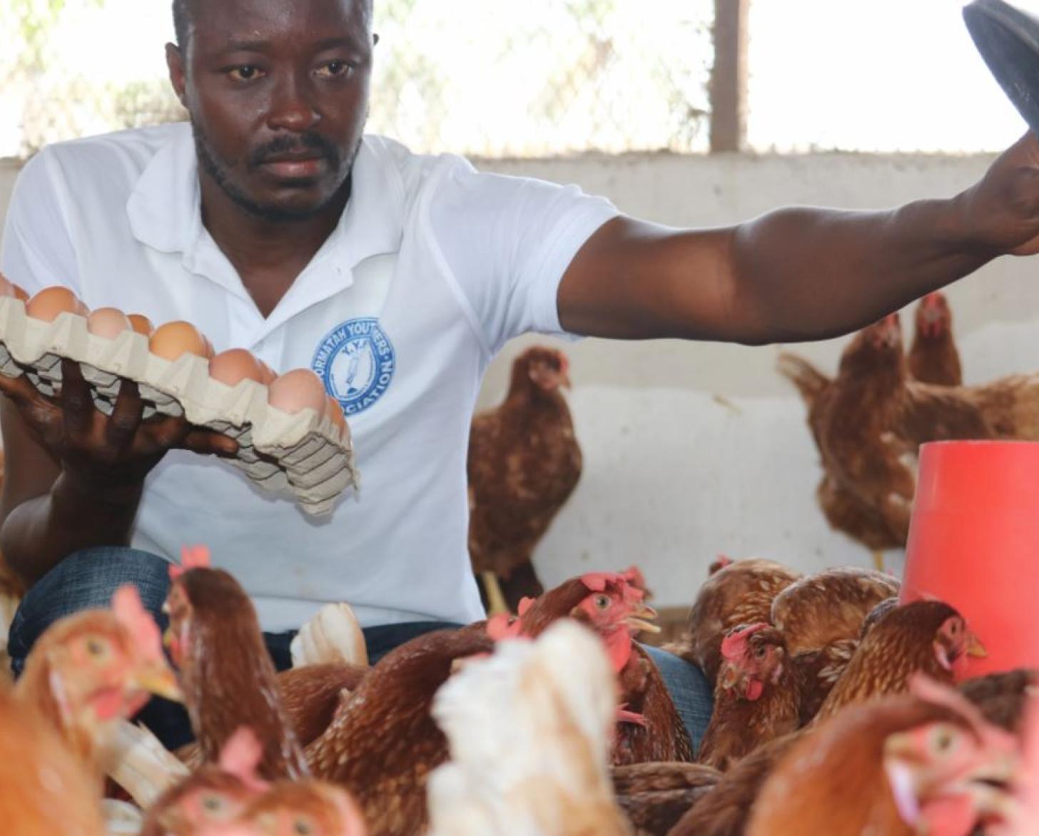 Tamby is shown surrounded by chickents holding about a dozen eggs with his right hand and a lid with his other.