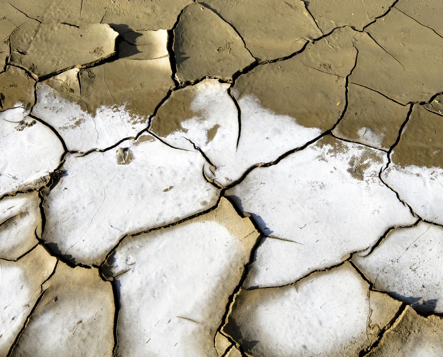 Suelo seco y quebradizo. La imagen muestra la devastación que la sequía y la escasez de agua pueden provocar en el suelo.