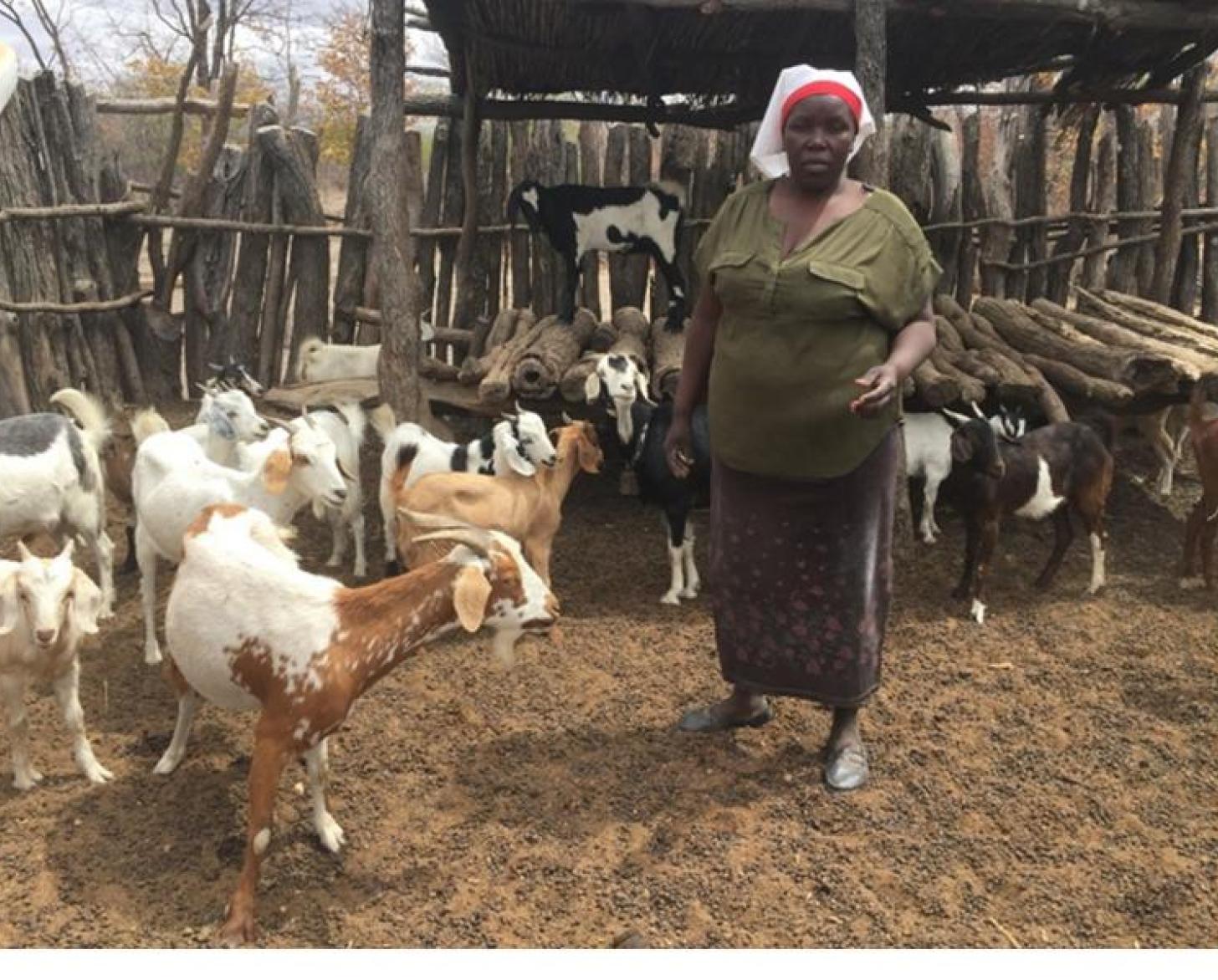 A female farmer stands outside surrounded by goats.