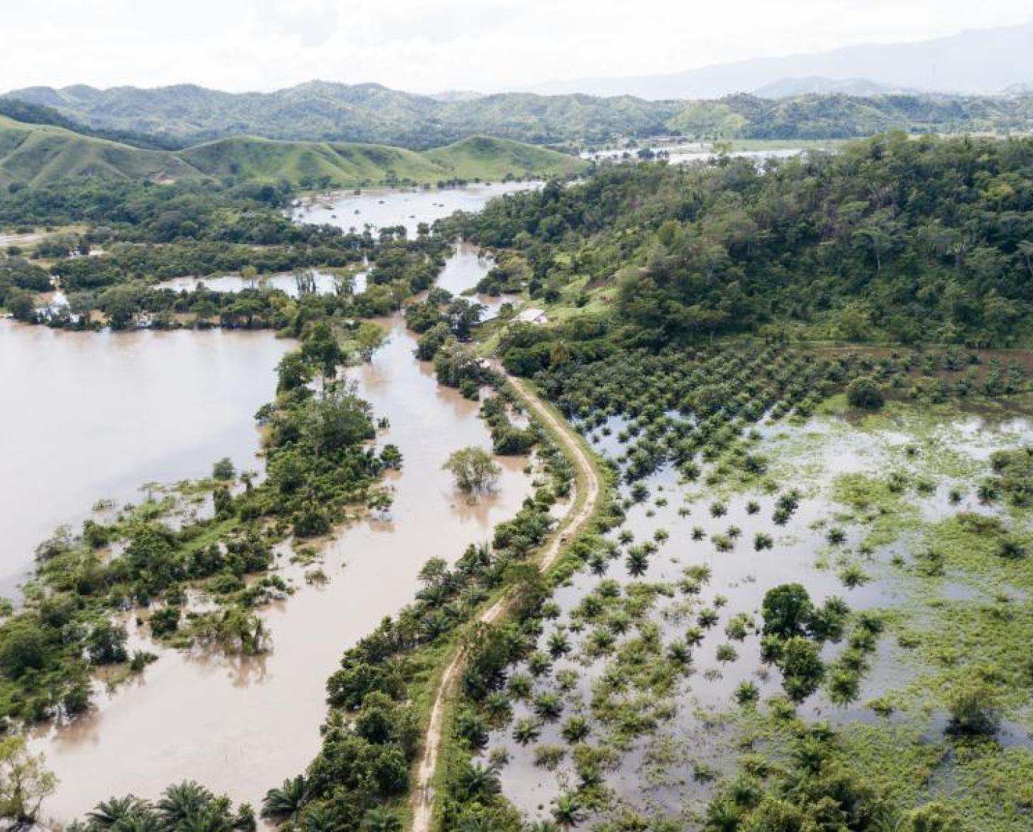Vista aérea de las aguas inundadas y la tierra verde.