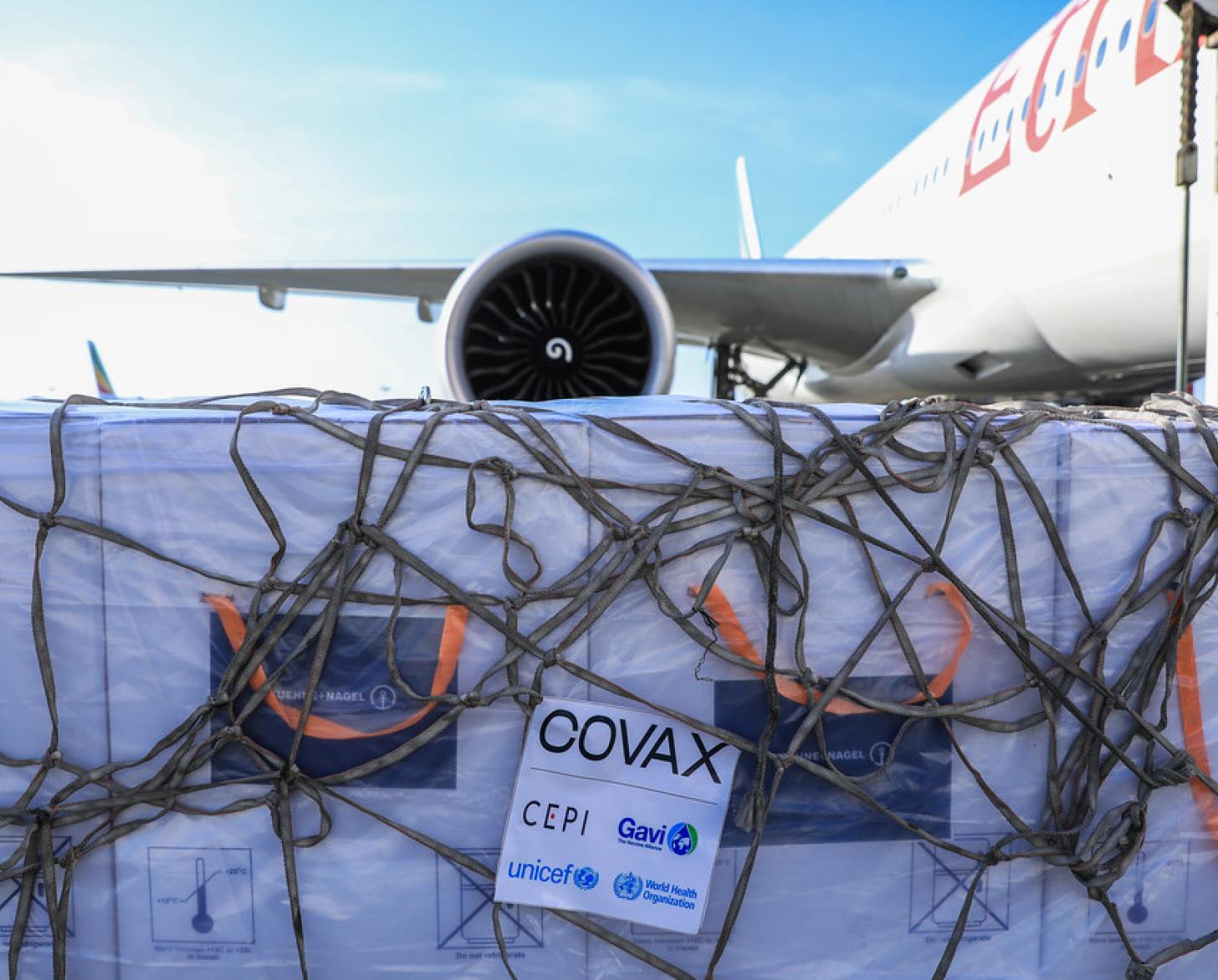 A close up of the COVAX Facility vaccines offloaded from a cargo plan.