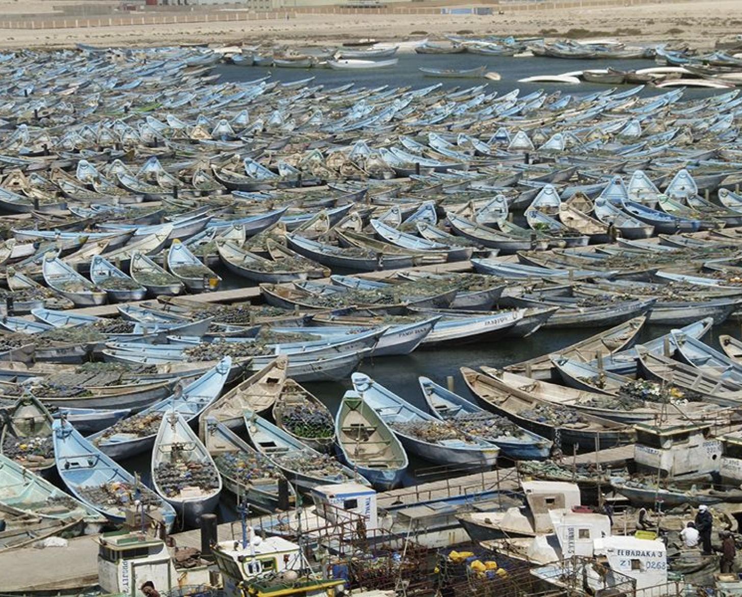Cientos de embarcaciones vacías y juntas sobre una explanada.