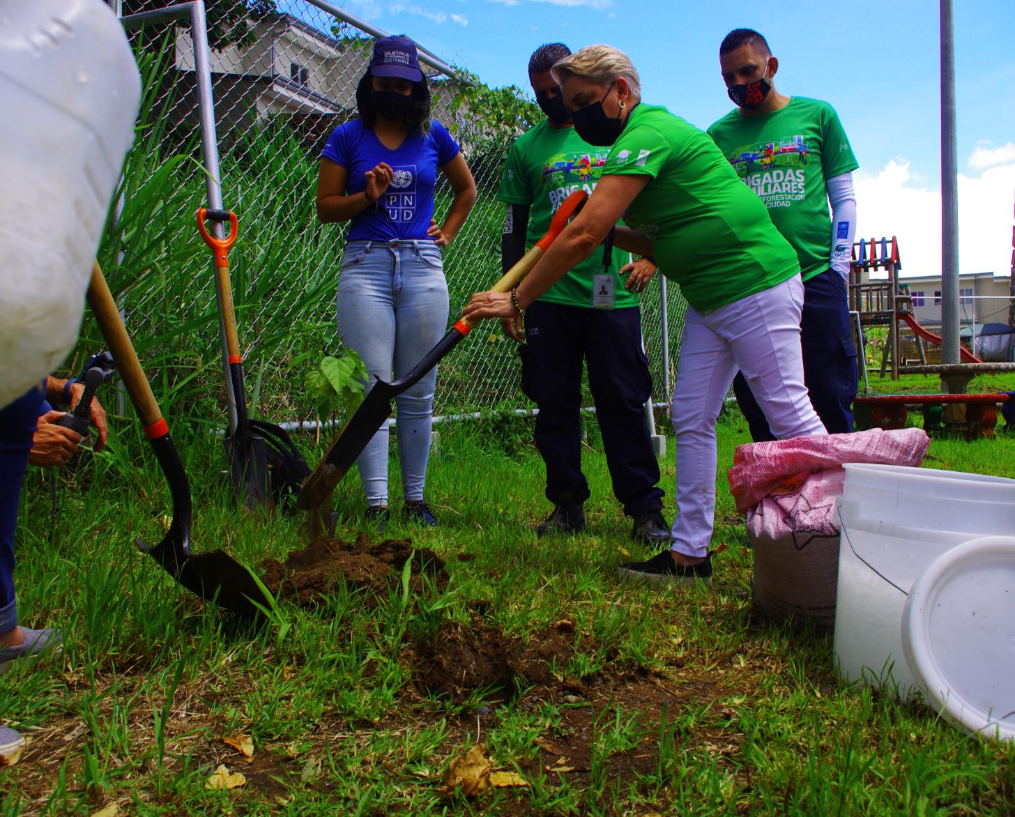 Un grupo de mujeres trabajando en un terreno verde con herramientas de jardinería.