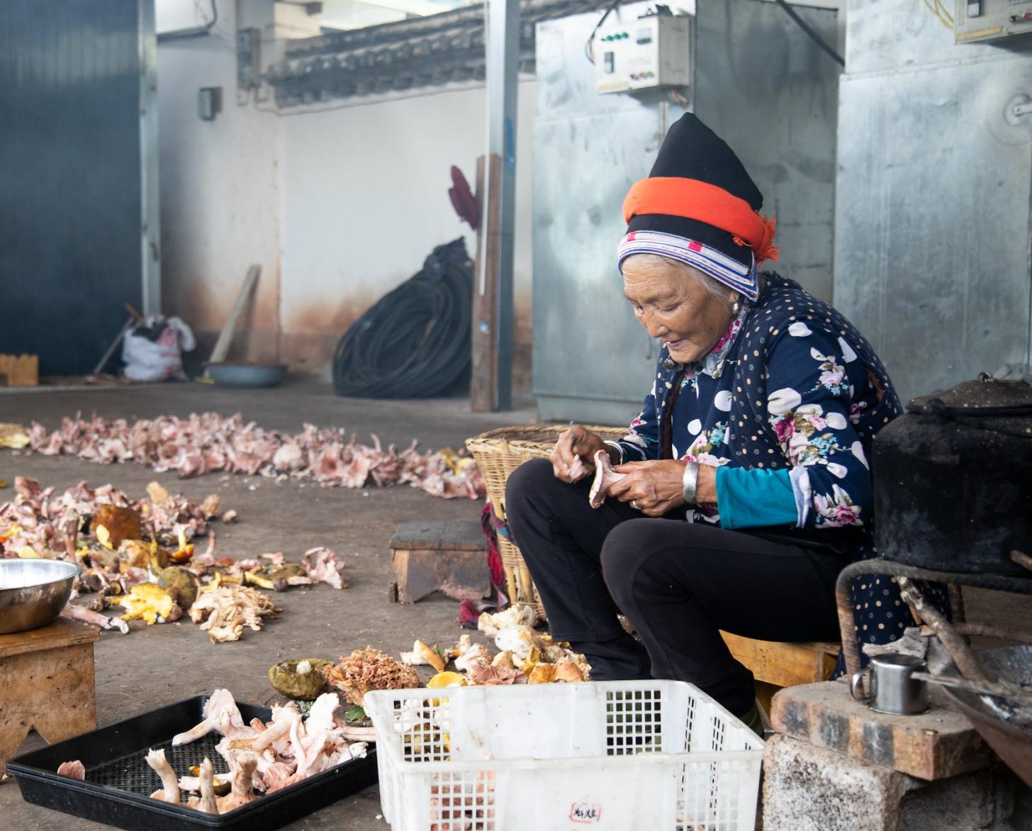 امرأة عجوز تفرز الفطر.