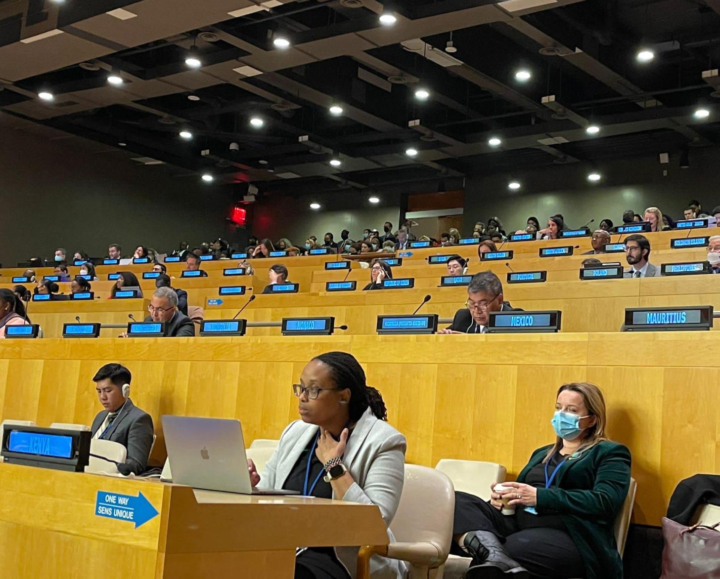 Des coordonnatrices et coordonnateurs résidents sont assis dans la salle du Conseil économique et social des Nations Unies pour participer à un dialogue avec des États membres.