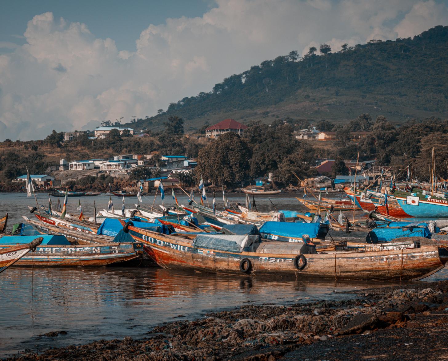 يظهر تأثير إزالة الغابات على تلال تومبو، وهي مدينة صيد ساحلية خارج عاصمة فريتاون في سيراليون.