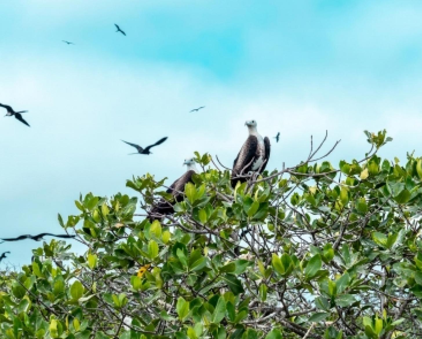 过去15年，资源一直在减少。社区和政府加强了对海洋资源的监测和管理，以保护生态系统，同时确保社区能够维持生计。