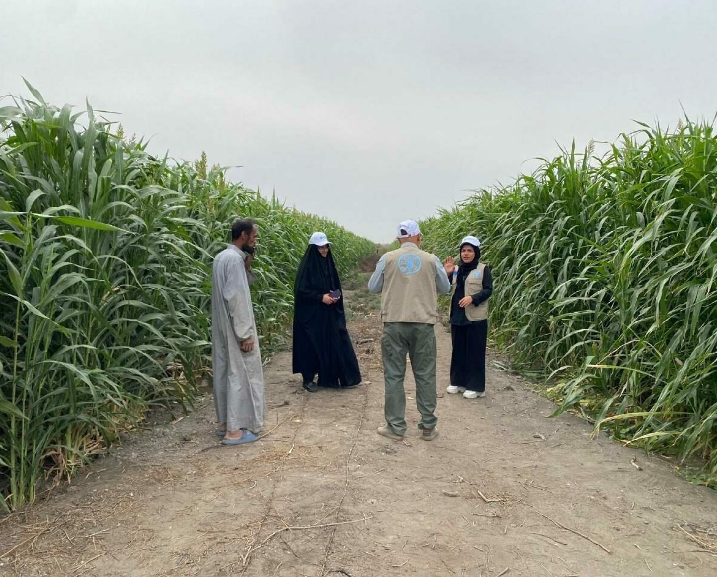 Iraq's heavy reliance on oil has resulted in high carbon footprint, making it extremely vulnerable to specific climate-related disasters, such as droughts, desertification, and sandstorms. 