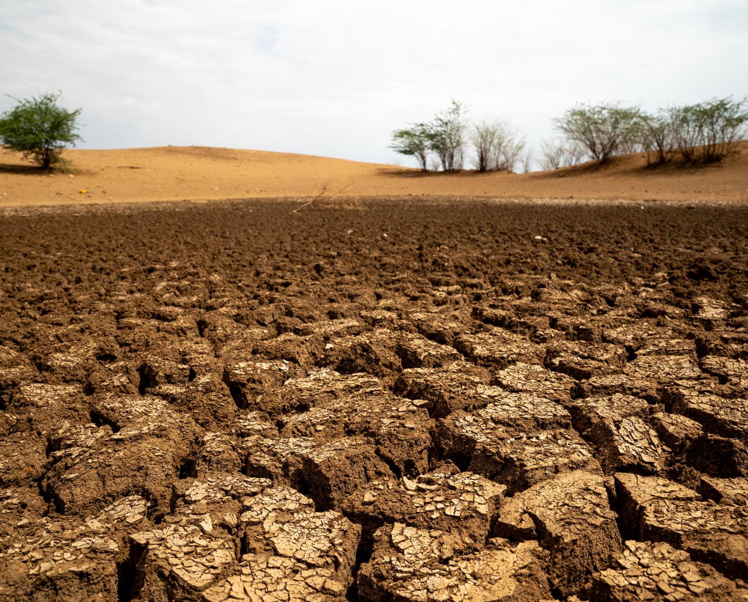  A dried out water pan in Kapetadie, Turkana County on 24th March 2022. The ongoing drought has put pressure on the scarce water resources in Turkana.