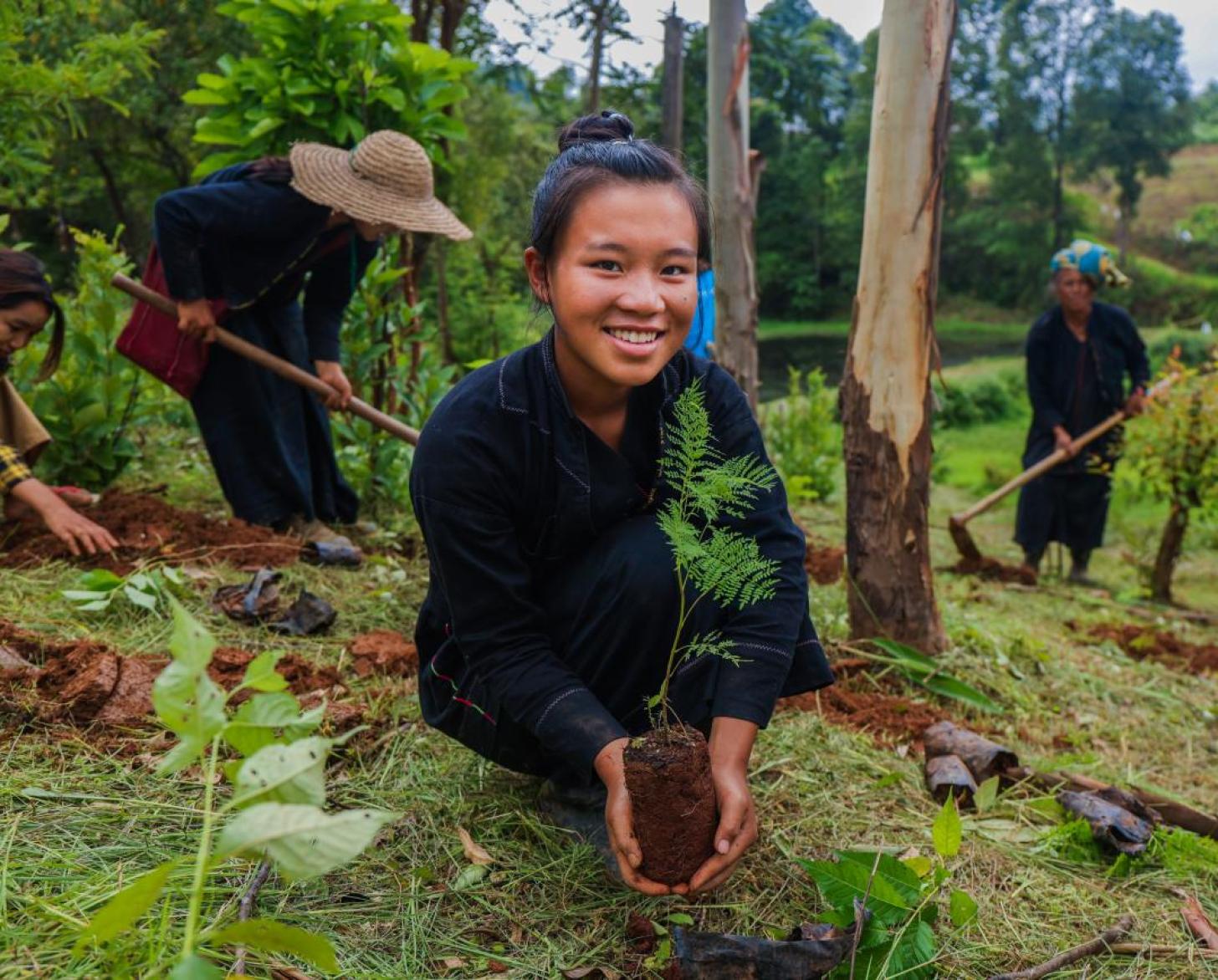A young girl plants a sapling in a hilly region in Myanmar