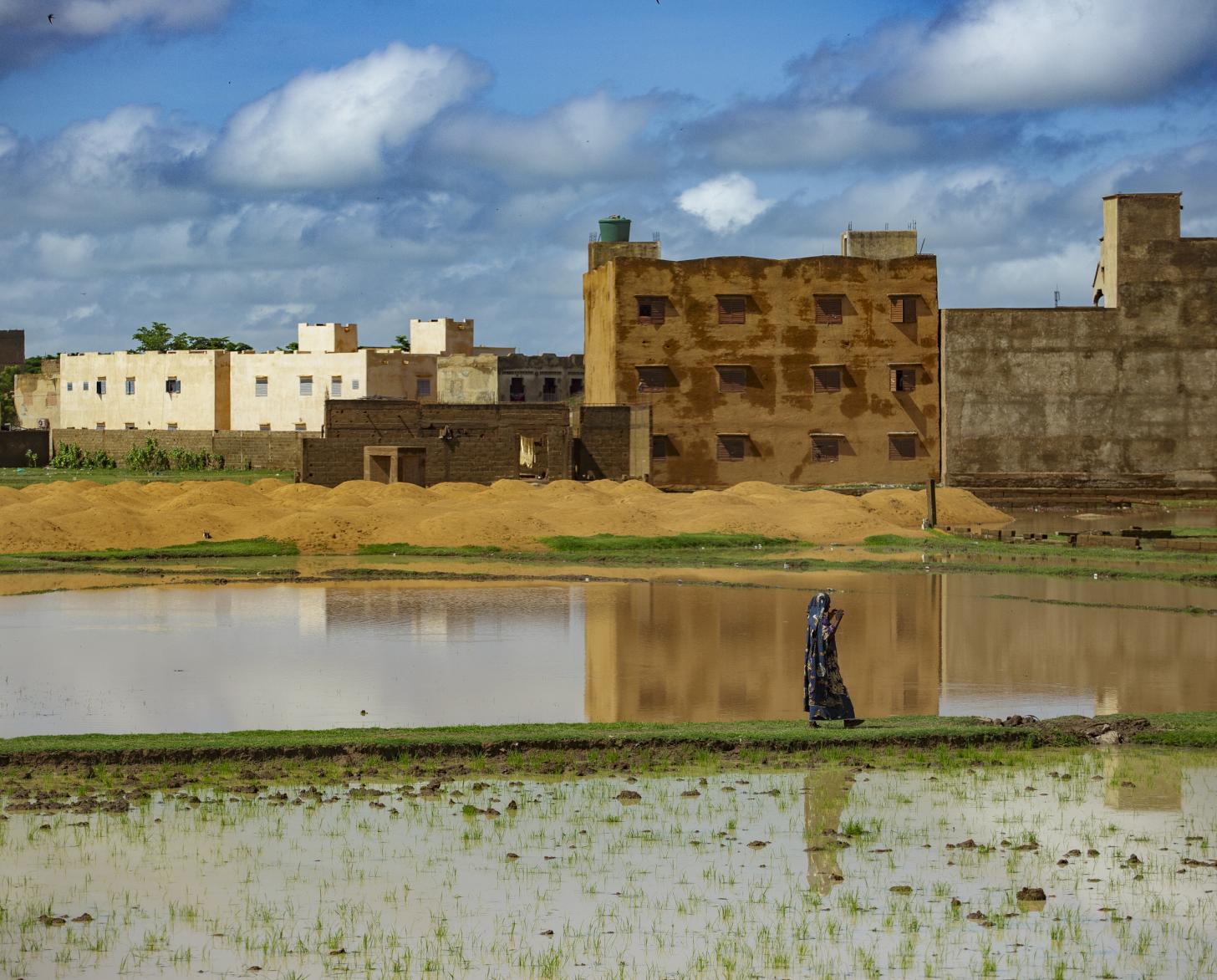 A Malian woman walks on a small strip of land separating two water beds.