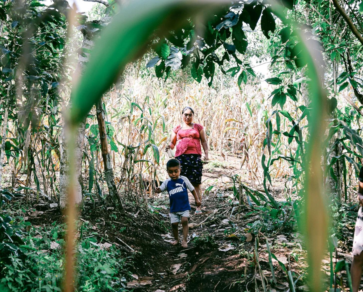 A woman in Guatemala and her young son and daughter in a maize field.