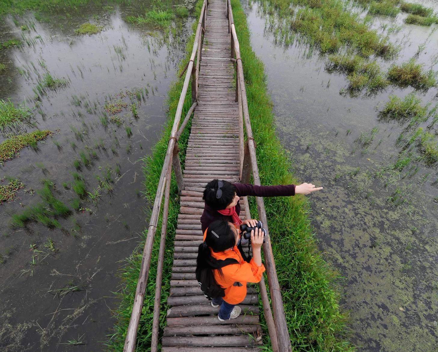 A man and woman in China stand on a small bridge over a pond.