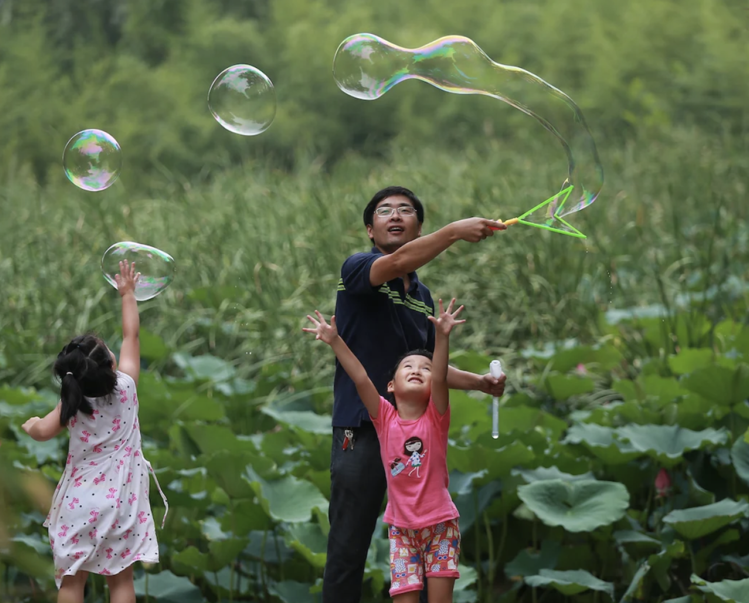 Water resources and ecological environment 