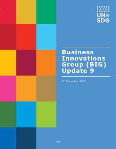 Shows the title, Business Innovations Group (BIG) Update 9 against a solid background next to a colour grid of rectangles to the left of it.