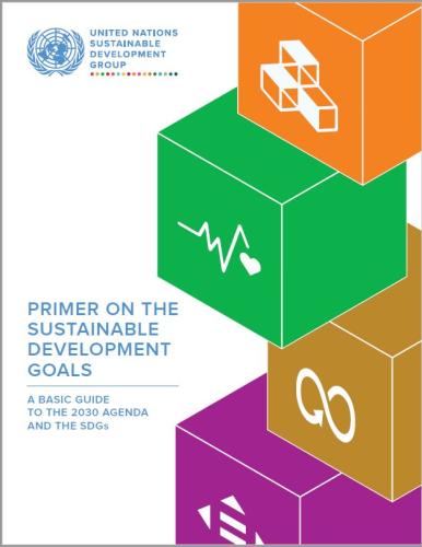 Cover shows SDG blocks on the cover with the title Primer on the Sustainable Development Goals: A Basic Guide to the 2030 Agenda and the SDGs