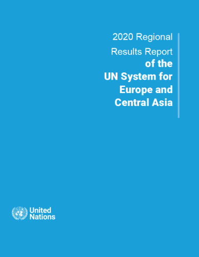 Blue cover shows the title of the report in white with UN emblem on the bottom left.