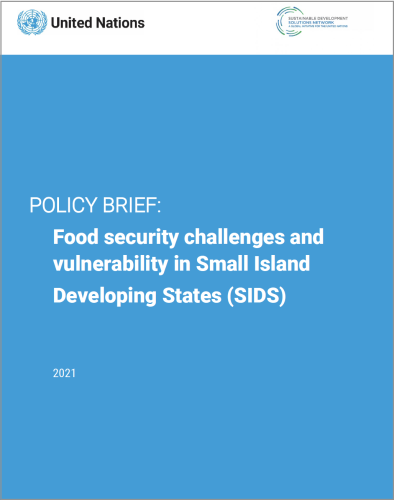 Page de couverture d'un rapport intitulé "Policy Brief: Food Security Challenges and Vulnerability in Small Island Developing States" (en français : "Note de synthèse : Défis en matière de sécurité alimentaire et vulnérabilité dans les petits États insulaires en développement"). Le titre est écrit en lettres blanches sur fond bleu et le logo des Nations Unies figure en haut à gauche de la couverture dans un cadre rectangulaire blanc.